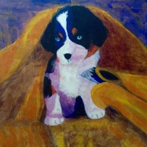 A Bernese Mountain Dog puppy is snuggled in a golden towel after his bath. Gold, Blue, White. Large Painting by artist Donald Ryker in textured expressionist impressionist art style with unique impasto glaze technique.
