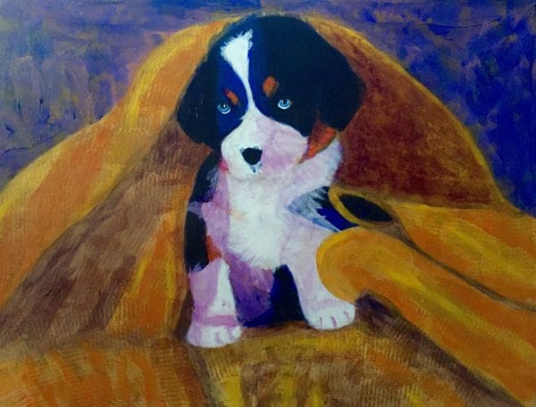 A Bernese Mountain Dog puppy is snuggled in a golden towel after his bath. Gold, Blue, White. Large Painting by artist Donald Ryker in textured expressionist impressionist art style with unique impasto glaze technique.
