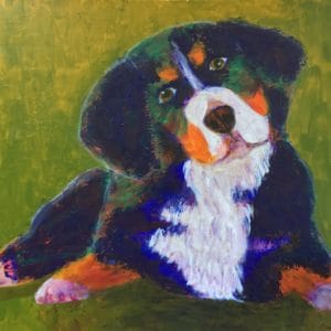 Head cocked and waiting, a Bernese Mountain Dog puppy lies on golden green grass. Blue, Orange, Teal, Green, White. Large Painting by artist Donald Ryker in textured expressionist impressionist art style with unique impasto glaze technique.