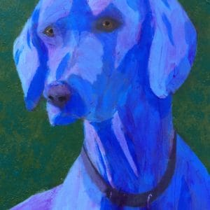 An alert blue Weimaraner dog looking intently to the side. Blue, green. Large Painting by artist Donald Ryker in textured expressionist impressionist art style with unique impasto glaze technique.