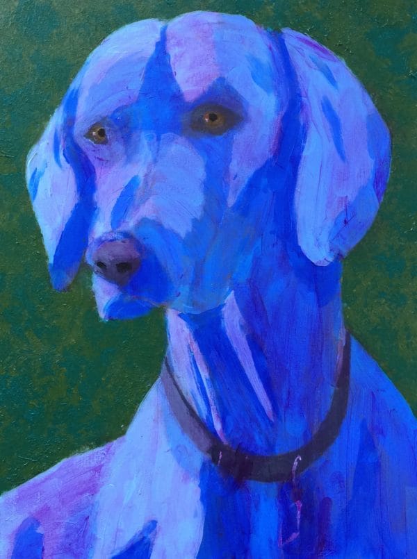 An alert blue Weimaraner dog looking intently to the side. Blue, green. Large Painting by artist Donald Ryker in textured expressionist impressionist art style with unique impasto glaze technique.