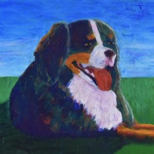 A Bernese Mountain Dog rests on a green grass with clear blue sky in the the background. Large Painting by artist Donald Ryker in textured expressionist impressionist art style with unique impasto glaze technique.