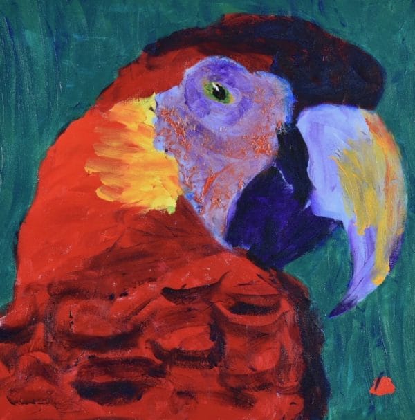 A red and purple tropical parrot looking back over his shoulder with sun highlights and teal background. Jungle. Tropical. Red, Purple, Yellow, Teal. Large Painting by artist Donald Ryker in textured expressionist impressionist art style with unique impasto glaze technique.