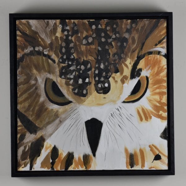 Owl