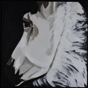 A white horse in shadows twists to look behind as seen from the rider's view. Neutral tints of white and cream with a black background. Western. Large Painting by artist Donald Ryker in textured expressionist impressionist art style with unique impasto glaze technique.