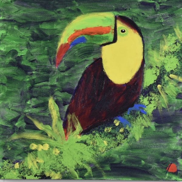 Toucan