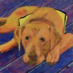 Teenage yellow lab puppy wearing a training vest waits on a purple deck. Orange, Yellow, Purple. Large Painting by artist Donald Ryker in textured expressionist impressionist art style with unique impasto glaze technique.