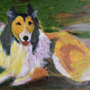 Collie